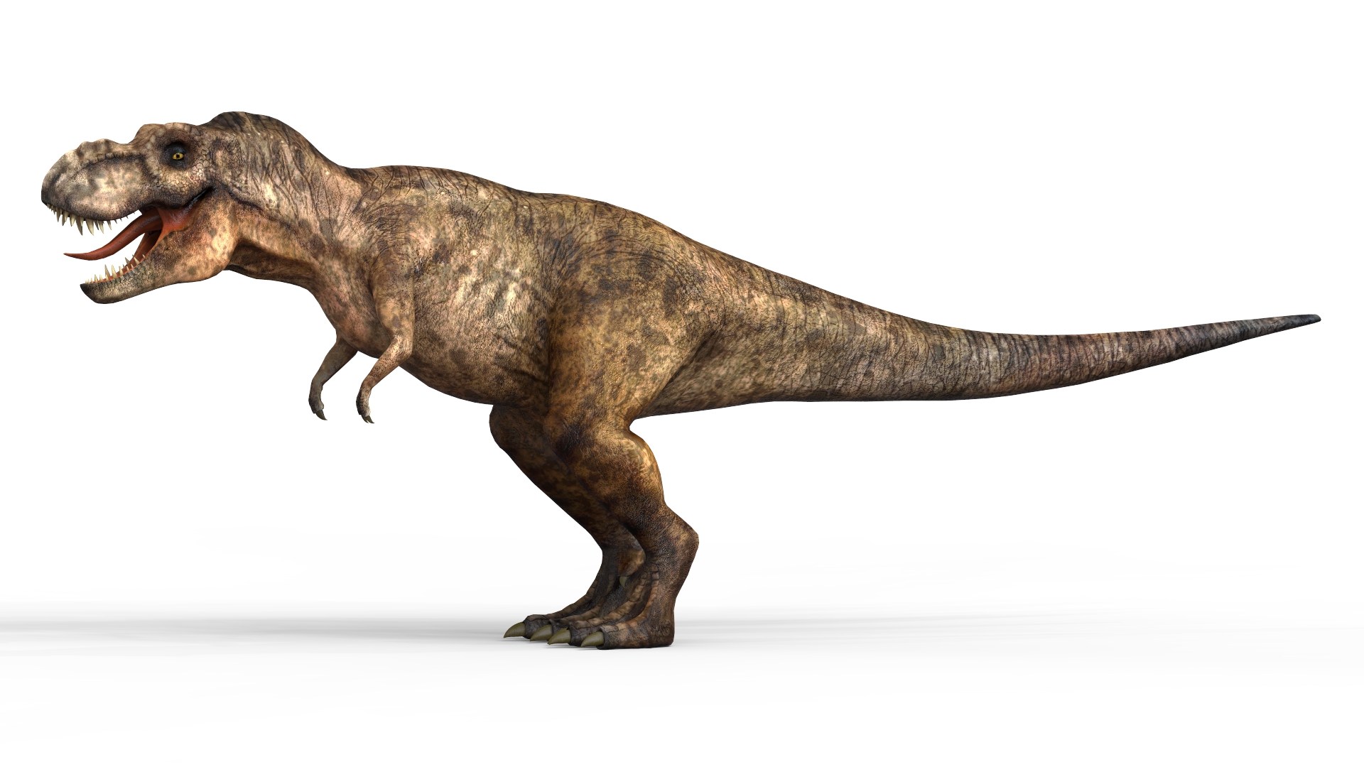 Realistic Trex Dinosaur 01.jpg
